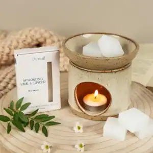Pintail Sparkling Lime & Ginger Wax Melts