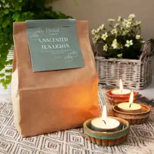 Pintail Unscented Tea Light Candles - Pack of 24